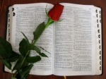 Bible with rose